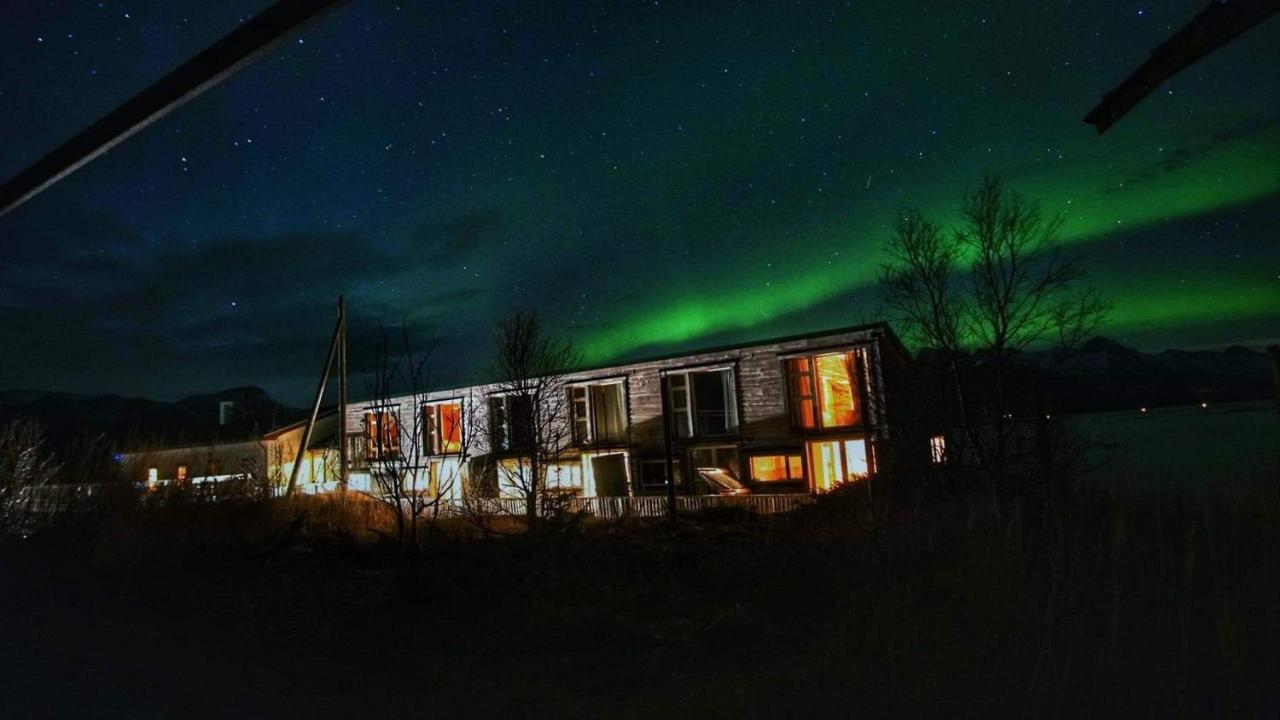 Risvaer Brygger Bed & Breakfast Digermulen Exterior photo